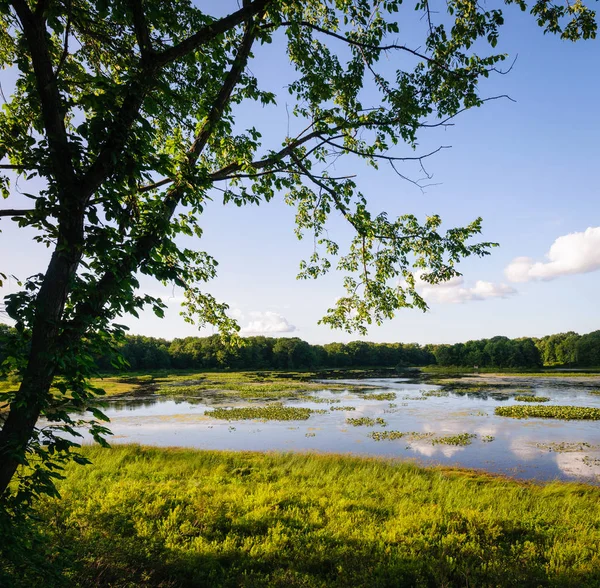 Jamestown Audubon Center Szentély — Stock Fotó