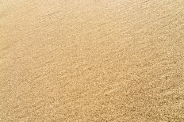 Great Sand Dunes National Park — Stock Photo, Image