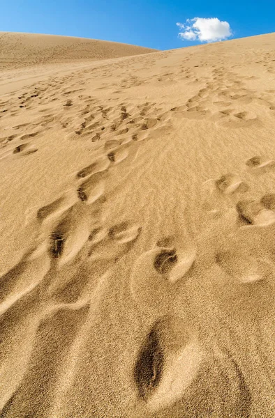 Parque Nacional Great Sand Dunes —  Fotos de Stock