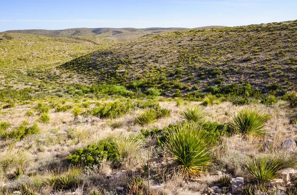 Parque Nacional Las Cavernas Carlsbad — Foto de Stock