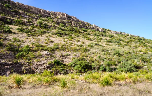 Carlsbad Caverns National Park — Stock Photo, Image