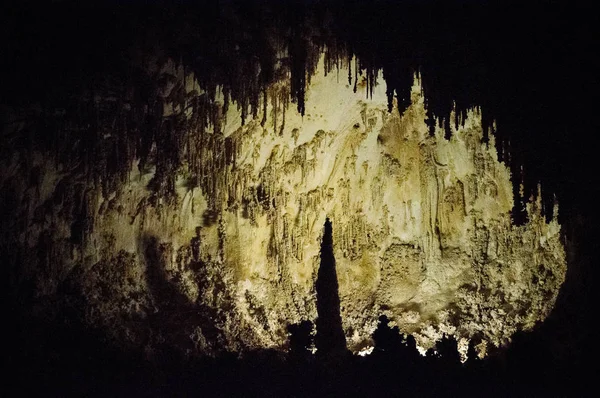 Carlsbad Caverns National Park — Stock Photo, Image