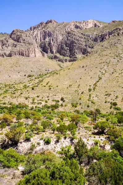 Nationalparken Guadalupe Bergen — Stockfoto