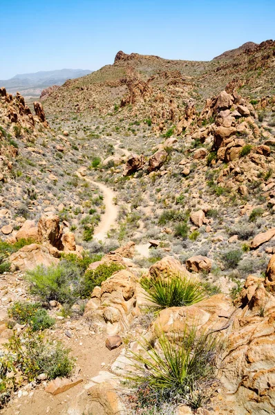 Parco Nazionale Big Bend — Foto Stock