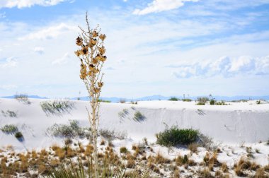 White Sands Ulusal Anıtı