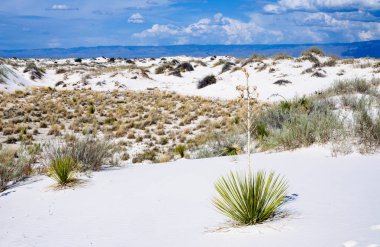 White Sands Ulusal Anıtı