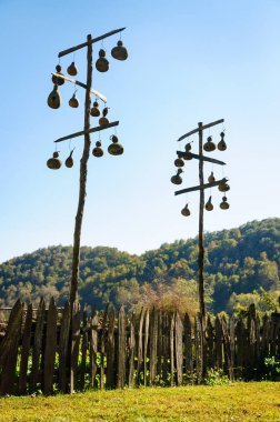 büyük smoky Dağları Milli Parkı