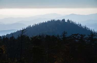 büyük smoky Dağları Milli Parkı