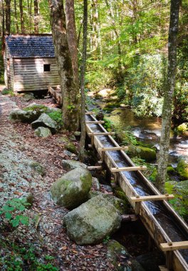 büyük smoky Dağları Milli Parkı