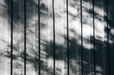 büyük smoky Dağları Milli Parkı