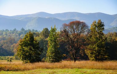 büyük smoky Dağları Milli Parkı