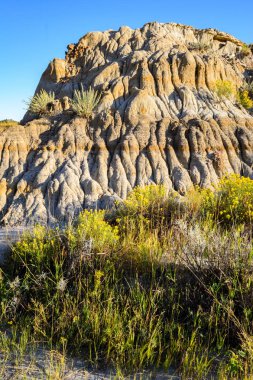 Theodore Roosevelt Ulusal Parkı