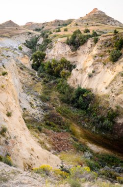 Theodore Roosevelt Ulusal Parkı