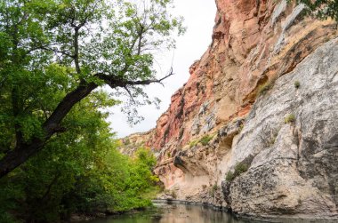 Ayres köprü Parkı