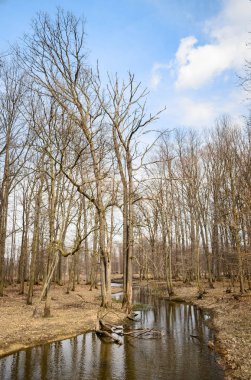 Jamestown Audubon merkezi ve kutsal