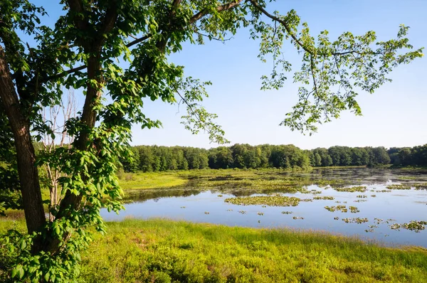 Jamestown Audubon Center Sanctuary — Stock Photo, Image