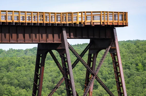 Park Stanowy Kinzua Bridge — Zdjęcie stockowe