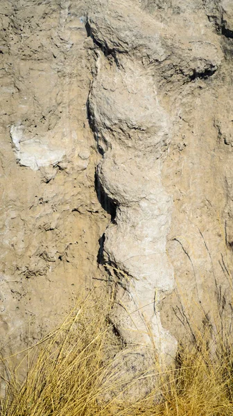 Akik Fosil Yataklar Ulusal Anıtı — Stok fotoğraf