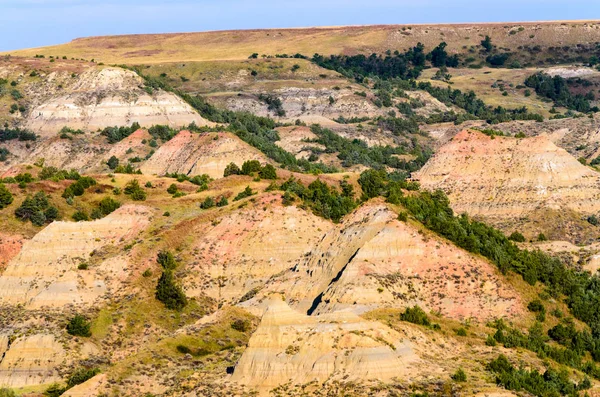 Національний Парк Теодор Рузвельт — стокове фото