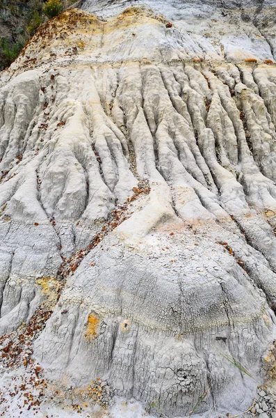 Theodore Roosevelt Ulusal Parkı — Stok fotoğraf