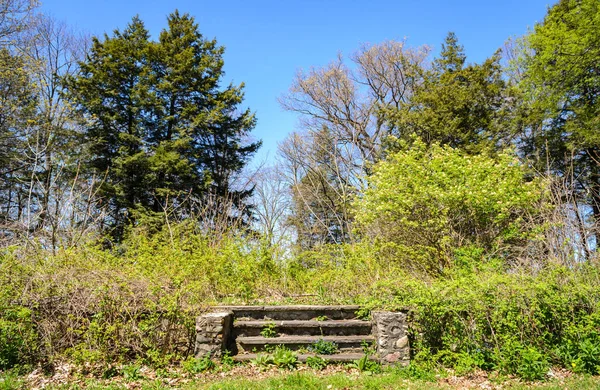 Long Point State Park — Stockfoto