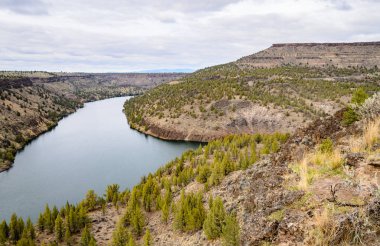 Cove Palisades Eyalet Parkı