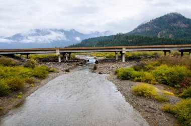 Mount Baker-Snoqualmie Ulusal Ormanı