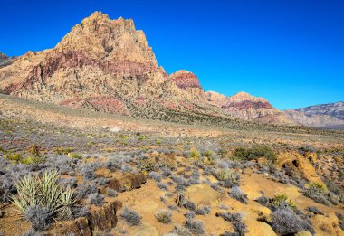 Red rock canyon Ulusal koruma alanı