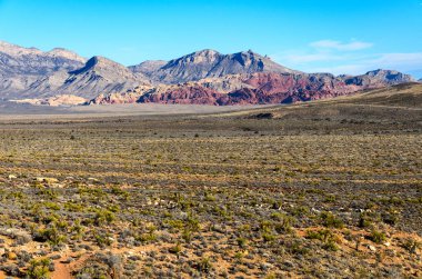 Red rock canyon Ulusal koruma alanı