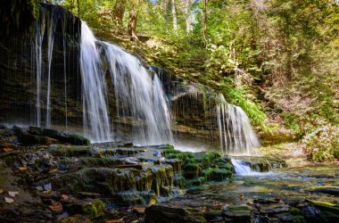 ricketts glen Devlet Parkı