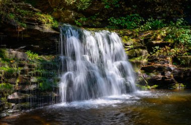 ricketts glen Devlet Parkı