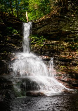 ricketts glen Devlet Parkı