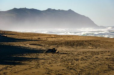 Point Reyes Ulusal Deniz Kıyısı