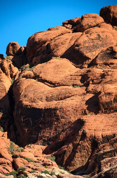 Red Rock Canyon Ulusal Koruma Alanı — Stok fotoğraf