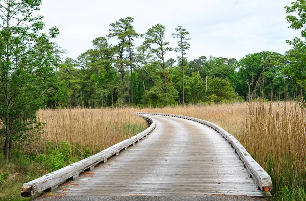 Jamestown National Historic Site — Stock Fotó