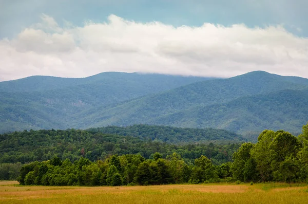 Great Smoky Mountains Nemzeti Parkban — Stock Fotó