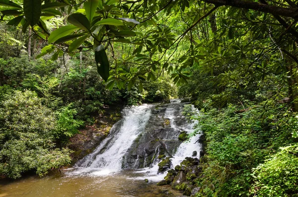 Great Smoky Mountains National Park — Stock Photo, Image