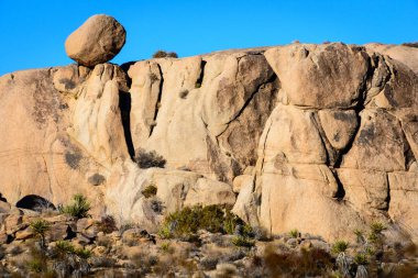 Joshua Tree Ulusal Parkı