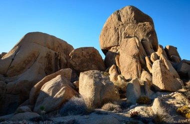 Joshua Tree Ulusal Parkı