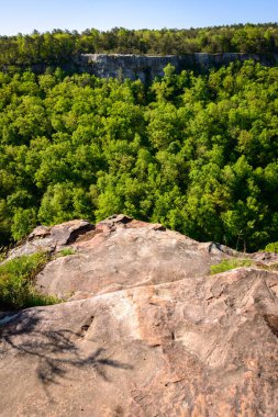Küçük River Canyon Ulusal koru