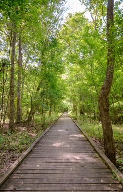 Göl Fausse Pointe State Park
