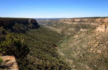 Mesa Verde Milli Parkı