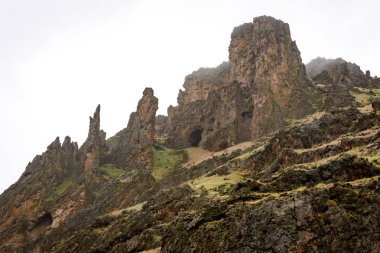 Dilenmek Creek State doğal alan