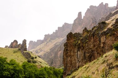 Dilenmek Creek State doğal alan