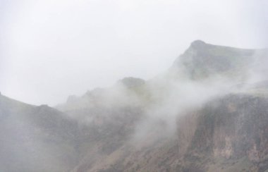 Dilenmek Creek State doğal alan