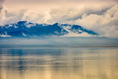 Antelope Adası Devlet Parkı