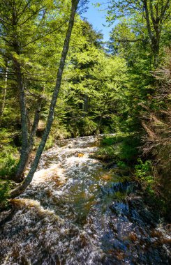 Resimdeki kayalar Ulusal göl kıyısındaki