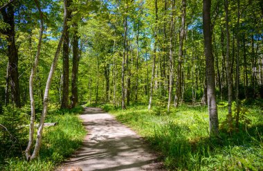 Resimdeki kayalar Ulusal göl kıyısındaki