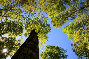 Resimdeki kayalar Ulusal göl kıyısındaki