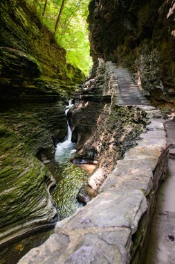 Watkins glen Devlet Parkı